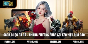 Cách Cược Đá Gà - Những Phương Pháp Soi Kèo Hiệu Quả Cao