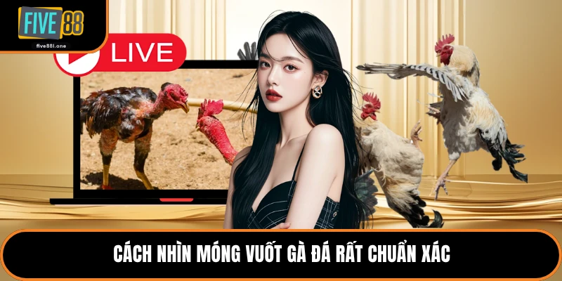 Cách nhìn móng vuốt gà đá rất chuẩn xác