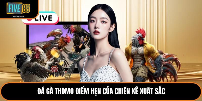 Đá gà Thomo điểm hẹn của chiến kê xuất sắc