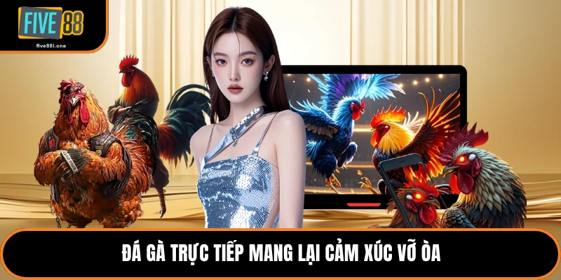 Đá gà trực tiếp mang lại cảm xúc vỡ òa