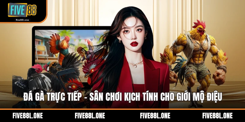 Đá Gà Trực Tiếp - Sân Chơi Kịch Tính Cho Giới Mộ Điệu