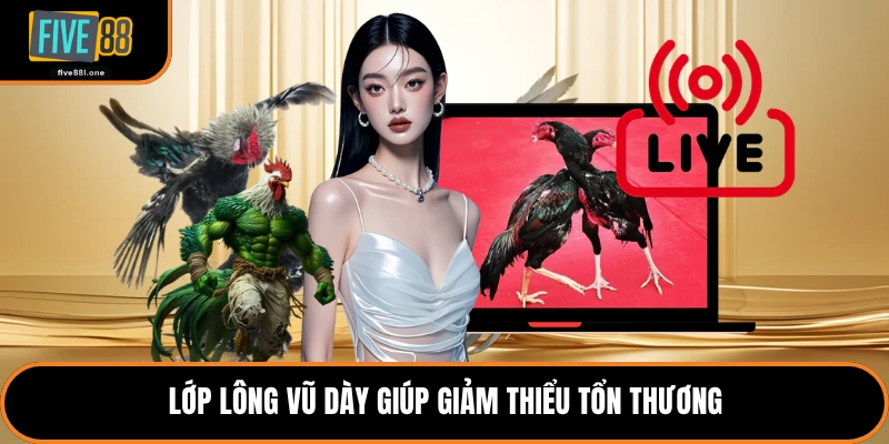 Lớp lông vũ dày giúp giảm thiểu tổn thương