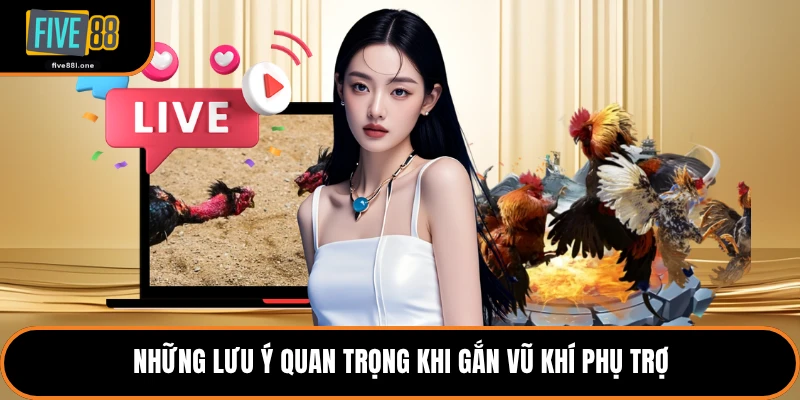 Những lưu ý quan trọng khi gắn vũ khí phụ trợ