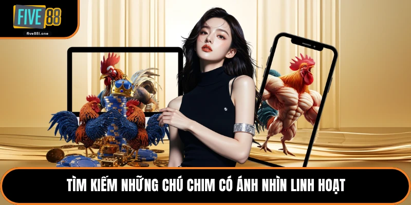 Tìm kiếm những chú chim có ánh nhìn linh hoạt